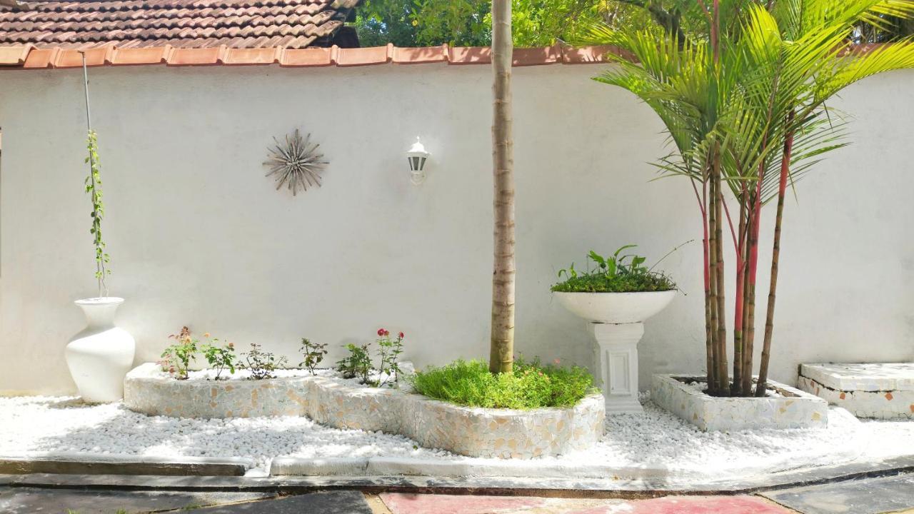 Boho Garden Guest House Mirissa Exterior foto